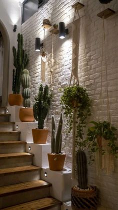 several potted plants are lined up on the wall next to some stairs and lights