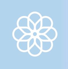 a white flower on a blue background