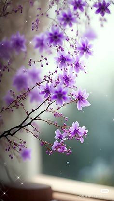 purple flowers are hanging from a branch in front of a window with raindrops