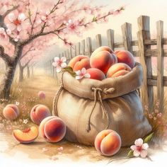 a painting of peaches in a sack next to a fence and blossoming tree