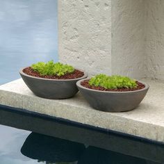 two planters sitting on the edge of a pool with water in the back ground