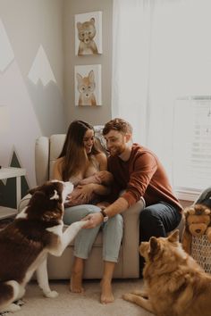 a man and woman sitting on a couch with two dogs in front of the window