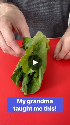 a person cutting up lettuce on top of a red board with the words, my grandma taught me this