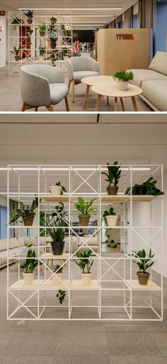 two pictures show the inside and outside of an office with plants in pots on shelves