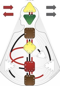 an image of a diagram with different colors