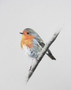 a small bird sitting on top of a tree branch in front of a gray sky