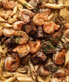 pasta with meat and shrimp in a white sauce