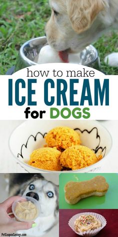 how to make ice cream for dogs