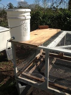 a white bucket sitting on top of a wooden table next to a metal cart with a chicken in it