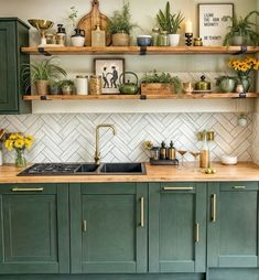 a kitchen with green cabinets and shelves filled with potted plants on top of them