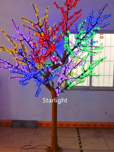 a lighted tree in the middle of a room