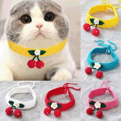 the cat is wearing several bracelets with cherries on them