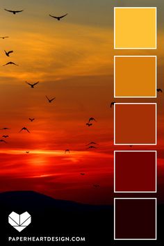 birds flying in the sky at sunset with color swatches for each pantone sheet