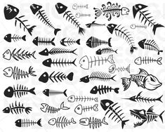 an assortment of fish skeleton drawings