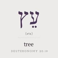 the logo for tree deuteronomy 2019, which is printed in purple and black