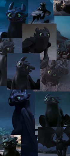 toothless toothless toothless toothless toothless toothless toothless toothless toothless toothless toothless toothless toothless toothless toothless toothless toothless toothless toothless tooth