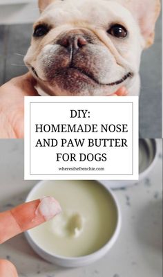 a small dog sitting in front of a bowl of food with the words diy homemade nose and paw butter for dogs