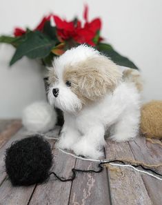 a small white dog sitting on top of a wooden table next to a ball of yarn