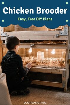 a boy sitting on the floor in front of a chicken cage with text overlay that reads easy diy plans