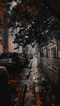 cars are parked on the street in the rain