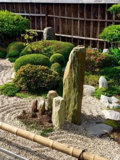 a garden with rocks and plants in it