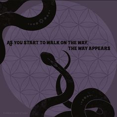 an image of a snake with the words as you start to walk on the way, the way appears