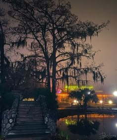 the trees are lit up at night in front of some water and stairs with lights on them