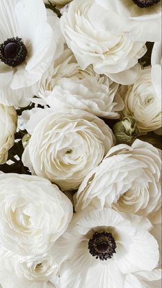 white flowers are arranged in a bouquet