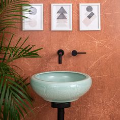 a bathroom sink sitting next to a plant in front of two pictures on the wall