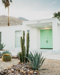 a cactus garden in front of a white house with green door and shuttered windows