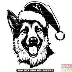 a black and white dog wearing a santa claus hat with his tongue hanging out to the side