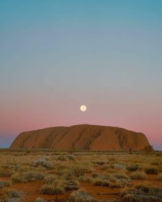 the moon is setting over aye rock in australia's outback desert, with grass and bushes