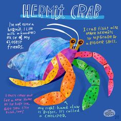 a drawing of a colorful sea turtle with the words hermi crab written below it