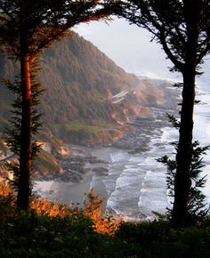 the ocean is next to some trees and mountains