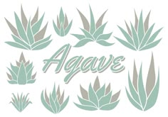 the word agave surrounded by various green plants and leaves, on a white background