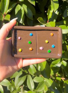 a hand holding a chocolate candy bar with candies on it and green leaves in the background