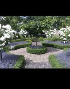 a garden with white flowers and trees in the center, surrounded by lavender bushes on either side