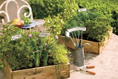 several garden tools are placed in the planters