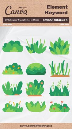 a bunch of plants that are on top of a piece of paper with the words canva