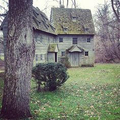 an old house in the woods with a tree and shrubbery around it, surrounded by leaves