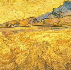 an image of a wheatfield with mountains in the background