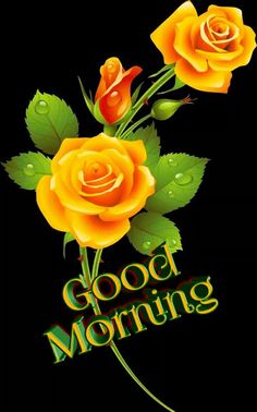 three yellow roses with green leaves and the words good morning written in gold on a black background