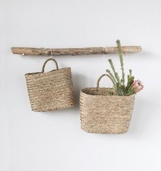 two baskets hanging on a wall with one holding a plant and the other holding a branch