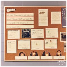 a bulletin board with several different types of information about animals and plants on it's side