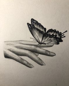 a drawing of a hand holding a butterfly