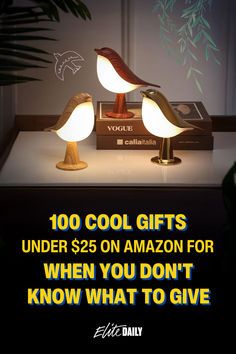 two birds sitting on top of a table next to a book with the caption, 10 cool gifts under $ 25 on amazon for when you don't know what to give