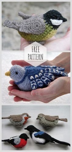 crocheted birds are shown in different colors and sizes, with the words free pattern below