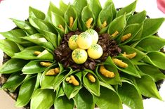 a potted plant with green leaves and yellow eggs in it's centerpiece