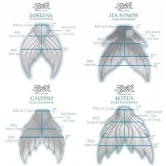 four different types of wings are shown in the diagram above it is an image of three different kinds of wings