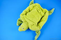 a green stuffed turtle on a blue background